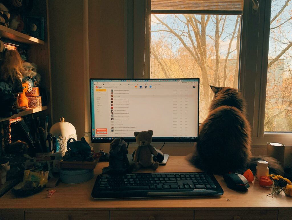 A serene home workspace featuring a cat by the window, a computer screen, and charming decorations.